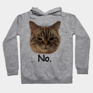 Just say no! Hoodie